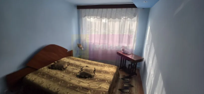 Apartament cu 3 camere de inchiriat in Campina, zona centrala