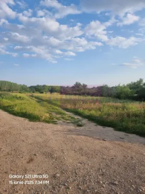 Se vinde teren 2150 mp in Teisori Giurgiu