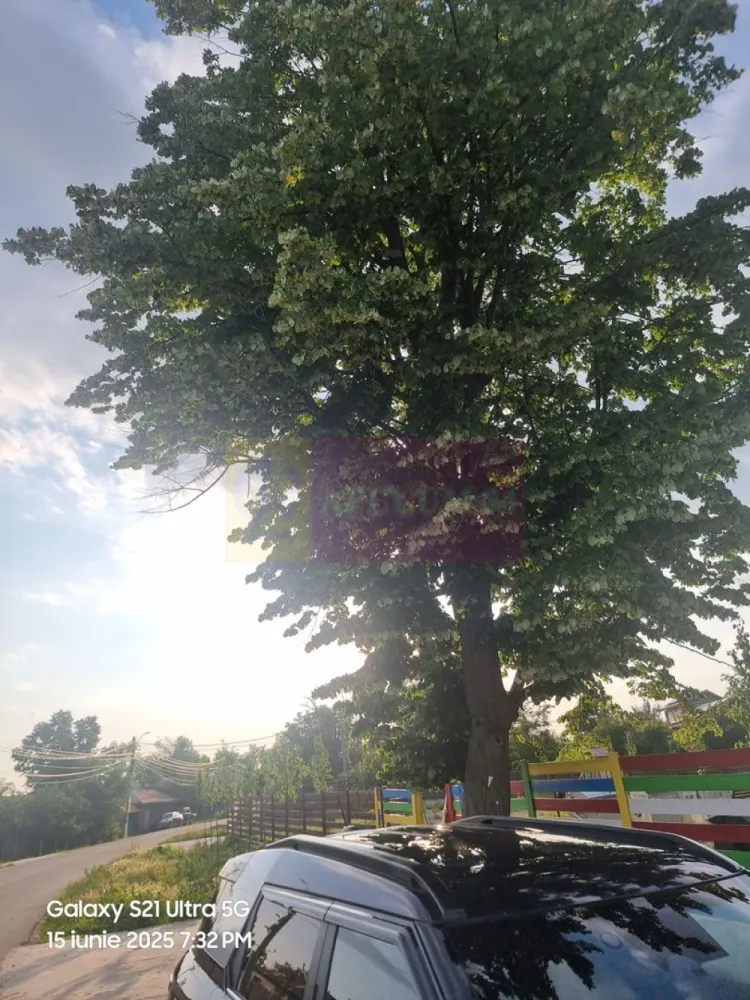 Se vinde teren 2150 mp in Teisori Giurgiu