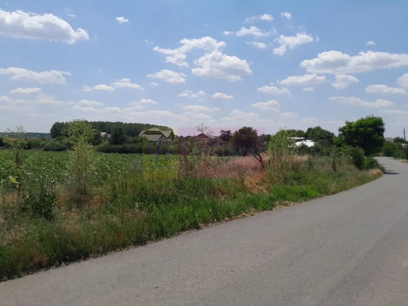 TEISORI /GR - 2 LOTURI LIPITE (TOT. 16500 MP) DE VZ 100K EUR NEG - Compania imobiliara Apulum94 are placerea de a va propune spre vanzare doua terenuri alipite situate in sat Teisori, de 8400 mp unul si celalalt de 8200 mp cu deschidere totala 142 ml. 

Terenurile sunt intravilane si sunt pretabile pentru multiple variante in ochii unui antreprenor cu viziune. 

Utilitatile din fata terenului sunt prezente. 

Pentru mai multe detalii despre oferta prezentata sau alte oferte similare, astept cu maxim interes sa ma contactati la numarul de telefon din anunt sau pe Whatsapp 

Cu respect, 

Agent Imobiliar Aurelian Popescu / 0733.683.456 

Apulum94 – Un partener de cursa lunga!