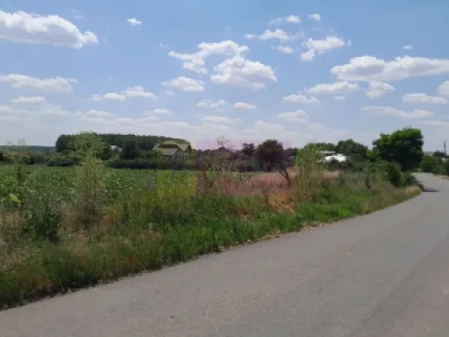 TEISORI /GR - 2 LOTURI LIPITE (TOT. 16500 MP) DE VZ 100K EUR NEG