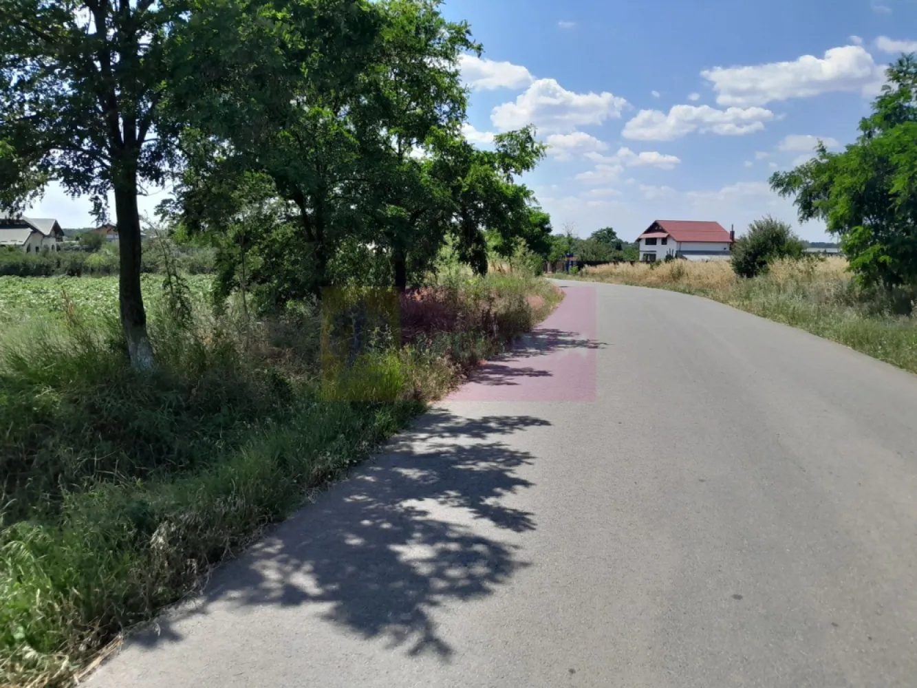 TEISORI /GR - 2 LOTURI LIPITE (TOT. 16500 MP) DE VZ 100K EUR NEG - Compania imobiliara Apulum94 are placerea de a va propune spre vanzare doua terenuri alipite situate in sat Teisori, de 8400 mp unul si celalalt de 8200 mp cu deschidere totala 142 ml. 

Terenurile sunt intravilane si sunt pretabile pentru multiple variante in ochii unui antreprenor cu viziune. 

Utilitatile din fata terenului sunt prezente. 

Pentru mai multe detalii despre oferta prezentata sau alte oferte similare, astept cu maxim interes sa ma contactati la numarul de telefon din anunt sau pe Whatsapp 

Cu respect, 

Agent Imobiliar Aurelian Popescu / 0733.683.456 

Apulum94 – Un partener de cursa lunga!