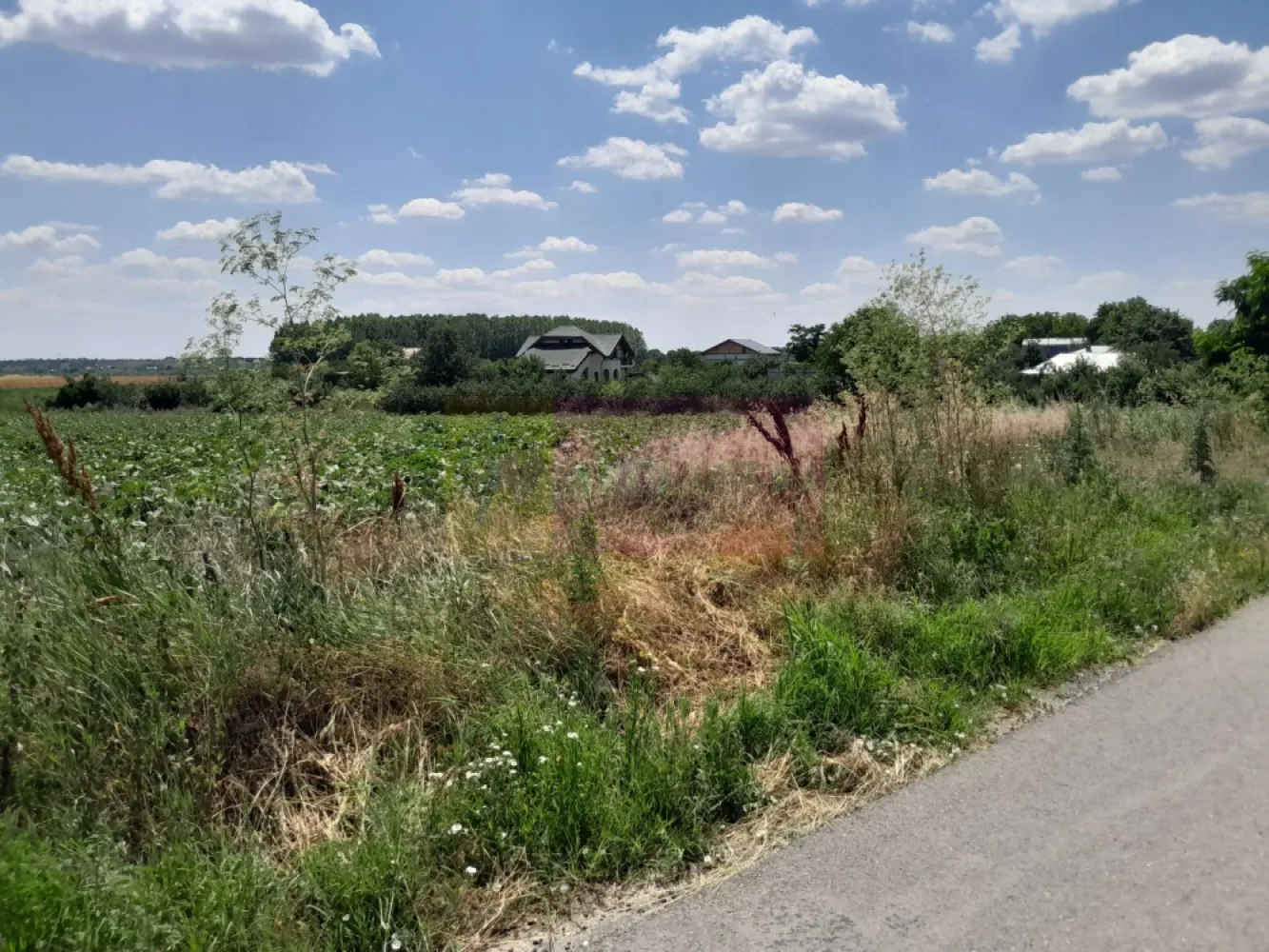 TEISORI /GR - 2 LOTURI LIPITE (TOT. 16500 MP) DE VZ 100K EUR NEG - Compania imobiliara Apulum94 are placerea de a va propune spre vanzare doua terenuri alipite situate in sat Teisori, de 8400 mp unul si celalalt de 8200 mp cu deschidere totala 142 ml. 

Terenurile sunt intravilane si sunt pretabile pentru multiple variante in ochii unui antreprenor cu viziune. 

Utilitatile din fata terenului sunt prezente. 

Pentru mai multe detalii despre oferta prezentata sau alte oferte similare, astept cu maxim interes sa ma contactati la numarul de telefon din anunt sau pe Whatsapp 

Cu respect, 

Agent Imobiliar Aurelian Popescu / 0733.683.456 

Apulum94 – Un partener de cursa lunga!