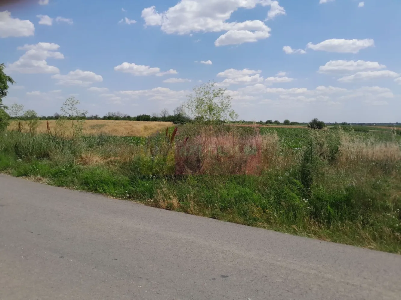 TEISORI /GR - 2 LOTURI LIPITE (TOT. 16500 MP) DE VZ 100K EUR NEG