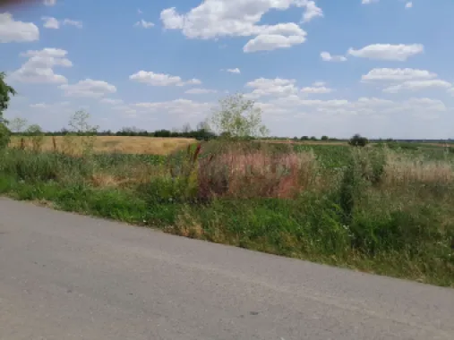 TEISORI /GR - 2 LOTURI LIPITE (TOT. 16500 MP) DE VZ 100K EUR NEG