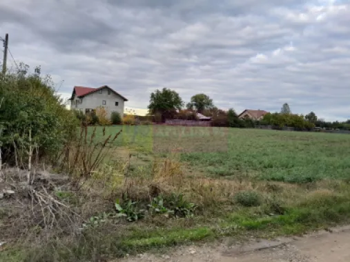 COSERENI( il ) - TEREN 2K MP DE VANZARE (52 M DESCHIDERE LA E85 )