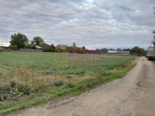 COSERENI( il ) - TEREN 2K MP DE VANZARE (52 M DESCHIDERE LA E85 )