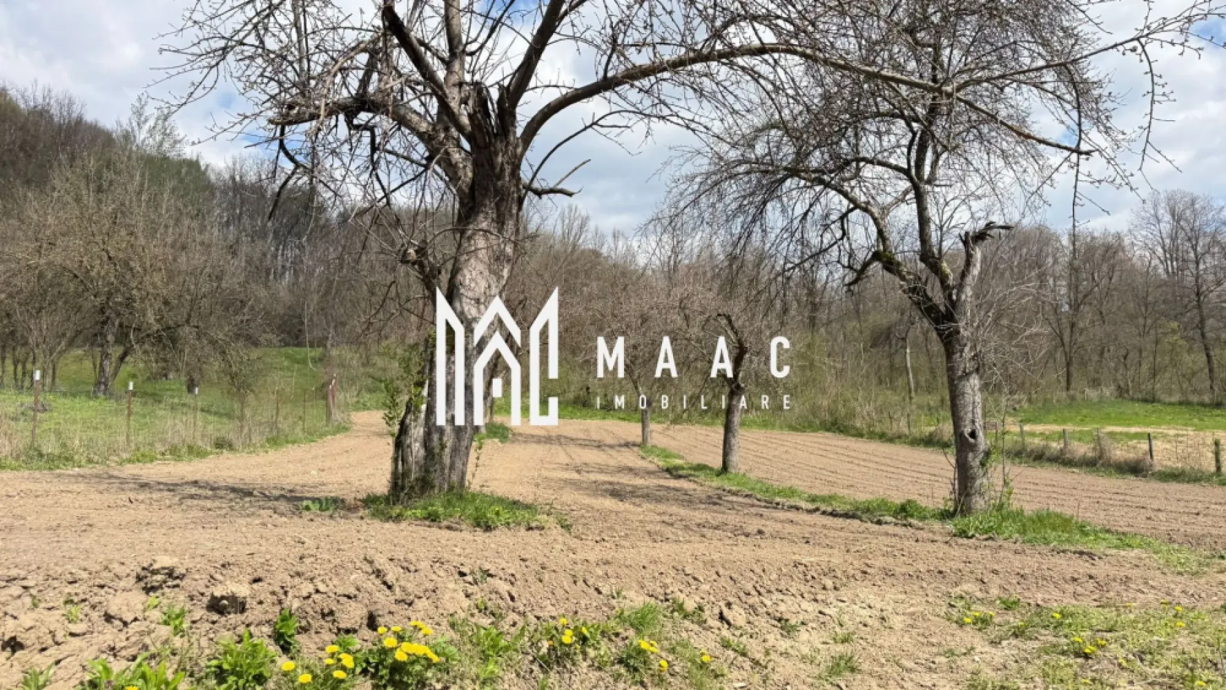 casa de vanzare | zona linistita | sat Maldaresti. - MAAC Imobiliare vă propune spre vânzare o proprietate deosebită, situată în pitoreasca zonă Măldărești, una dintre cele mai apreciate destinații turistice din județul Vâlcea. Renumită pentru farmecul său autentic și pentru obiectivele istorice deosebite precum Conacul lui Maldăr și Odaile Brâncovenești, localitatea atrage anual turiști în căutarea liniștii, tradiției și peisajelor spectaculoase.

Proprietatea dispune de 8 camere spațioase și este amplasată pe un teren generos de 2.500 mp, beneficiind suplimentar de încă 1.000 mp teren situat vis-a-vis, oferind multiple posibilități de amenajare sau investiție.

Casa beneficiază de utilități precum curent electric și apă, fiind ideală atât pentru locuință permanentă, casă de vacanță, cât și pentru dezvoltarea unei activități turistice, datorită poziționării excelente într-o zonă cu puternic potențial turistic.

Atmosfera autentică a locului, liniștea naturii și apropierea de atracțiile istorice transformă această proprietate într-o oportunitate rară pentru cei care își doresc un colț de poveste în inima Olteniei de sub munte.

Pentru mai multe detalii și programarea unei vizionări, vă rugăm să contactați MAAC Imobiliare și să menționați la telefon numărul CP3115491