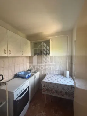 Apartament cu 1 cameră , de închiriat , Zona Aradului , Timișoara