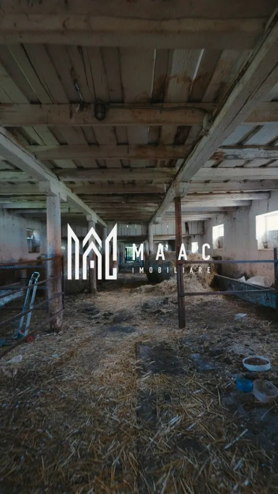 Hale disponibile 1400 mp I Teren 6000 mp I Utilități I Apoldu - MAAC Imobiliare propune spre închiriere hale cu o suprafață totală de aproximativ 1400 mp, împreună cu 6000 mp de teren, situate în intravilanul localității Apoldu de Sus, județul Sibiu.

Caracteristici hale:
construcții din cărămidă, cu acoperiș din țiglă
2 hale de aprox. 50 × 10 m, înălțime 6 m
1 hală de aprox. 35 × 10 m

Teren disponibil:
suprafață între 4000–6000 mp, utilizabilă ca parcare sau spațiu de depozitare
proprietatea este împrejmuită și supravegheată video

Utilități:
curent trifazic
apă menajeră
acces auto și acces pentru transport de mare tonaj

Halele vor fi eliberate și pregătite pentru închiriere, însă necesită renovări specifice domeniului în care vor fi folosite.
În trecut, proprietatea a funcționat ca centru de export bovine, dar este potrivită și pentru:

fermă de păsări
fermă de miei
centru de colectare fier / plastic
Producție
depozit pentru diferite produse/ materiale
alte activități similare.

Proprietar persoana juridica, solicitam închirierea pentru termen lung, se percepe o garantie a contractului de închiriere în valoare egala cu rata chiriei.

Pentru mai multe detalii, contactați MAAC Imobiliare și menționați ID CP3055521