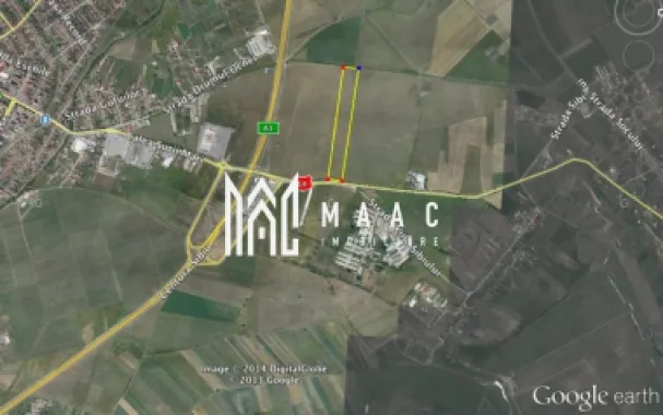 Logo MAAC IMOBILIARE logo