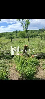 Teren Salatrucel | 830 m | 12 euro/ metru | Intravilan si extravilan |