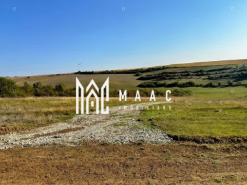 Teren | 651MP | Extravilan | Rusciori