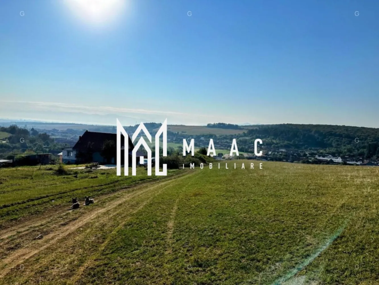 Teren | 651MP | Extravilan | Rusciori - MAAC Imobiliare vă propune spre achiziție un teren situat în localitatea Rusciori, o zonă aflată în plină expansiune, situată la o distanță de doar 10 minute de Sibiu. Această proprietate reprezintă o opțiune strategică atât pentru investiție pe termen mediu și lung, cât și pentru dezvoltări individuale cu caracter recreativ. LOCALIZARE ȘI ACCESIBILITATE Terenul este poziționat în imediata proximitate a vetrei satului Rusciori, beneficiind de un acces facil către rețeaua rutieră principală. Amplasarea oferă echilibrul ideal între liniștea specifică zonelor rurale și conectivitatea rapidă cu polul de business și servicii al Sibiului. DETALII TEHNICE ȘI CONFIGURAȚIE Proprietatea este disponibilă sub formă de 4 parcele distincte, oferind flexibilitate în alegerea suprafeței dorite: Suprafețe disponibile: Între 614 mp și 651 mp. Front stradal: 29,85 metri liniari (pentru parcela de 651 mp), asigurând o deschidere generoasă și multiple variante de sistematizare. Categorie de folosință: Extravilan, arabil. Utilități: Posibilitate de racordare la rețelele de utilități publice existente în localitatea Rusciori. ANALIZA POTENȚIALULUI URBANISTIC În prezent, terenul se pretează pentru destinații diverse: Agrement și Relaxare: Configurația și amplasamentul sunt ideale pentru amenajarea unei grădini, a unei livezi sau a unui spațiu de recreere privat. Investiție Rezidențială: Există potențialul tehnic de inițiere a unui Plan Urbanistic Zonal (PUZ) pentru introducerea terenului în intravilan, permițând ulterior construcția de locuințe sau case de vacanță. Activități Agricole: Solul este pretabil pentru culturi de nișă sau pomicultură. Pentru informații suplimentare, consultanță sau programarea unei vizionări, vă invităm să contactați specificând ID: CP2730499 }}