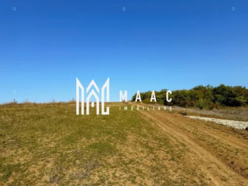 Teren | 651MP | Extravilan | Rusciori