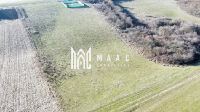 Teren | 651MP | Extravilan | Rusciori