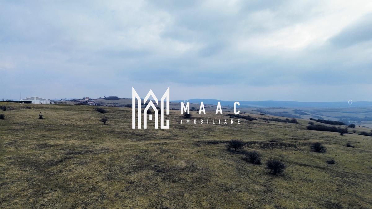 Teren 6,75 ha | Panoramă și Acces Excelent | Dealul Daii