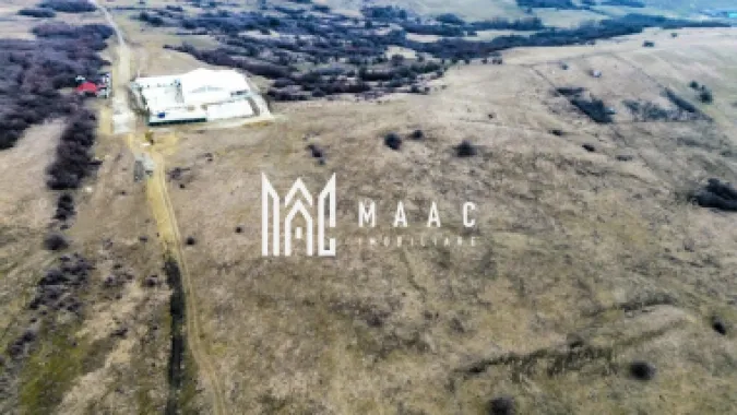 Teren 6,75 ha | Panoramă și Acces Excelent | Dealul Daii