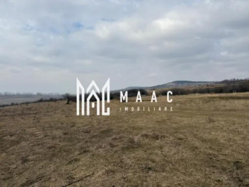 Teren 6,75 ha | Panoramă și Acces Excelent | Dealul Daii