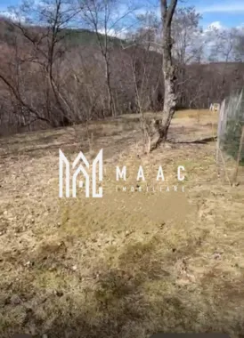 Teren | Intravilan | 1148 MP | Marginimea Sibiului