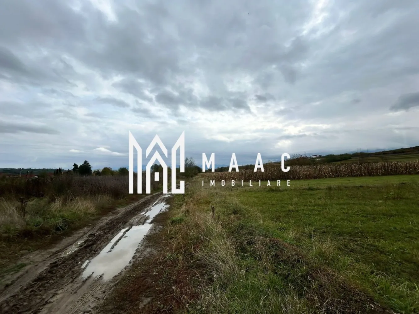 Teren | 3700 mp | Deschidere la DN | Intrare Vestem – Sibiu - Maac Imobiliare prezintă un teren extravilan situat la intrarea în localitatea Veștem, jud. Sibiu, cu deschidere directă la Drumul Național. Caracteristici principale: Suprafață totală: 3.700 mp Deschidere: 24 ml la DN Preț: 19 €/mp – negociabil Categorie de folosință: extravilan Terenul este amplasat într-o zonă cu acces facil și vizibilitate excelentă, fiind ideal pentru depozite, hale industriale, activități agricole sau parcare auto. Pentru mai multe detalii, vă rugăm să menționați telefonic ID-ul anunțului: CP2884453 }}