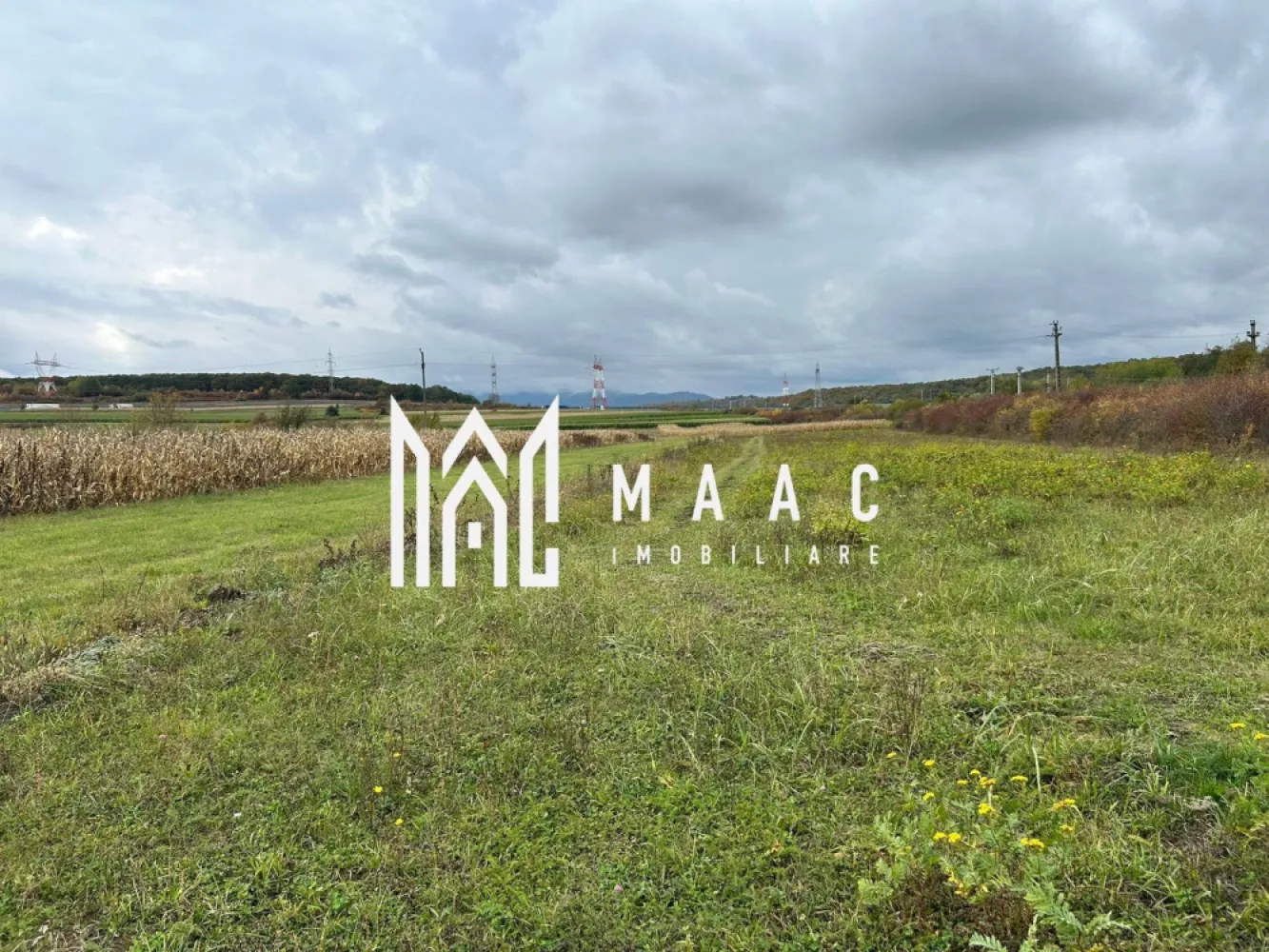 Teren | 3700 mp | Deschidere la DN | Intrare Vestem – Sibiu