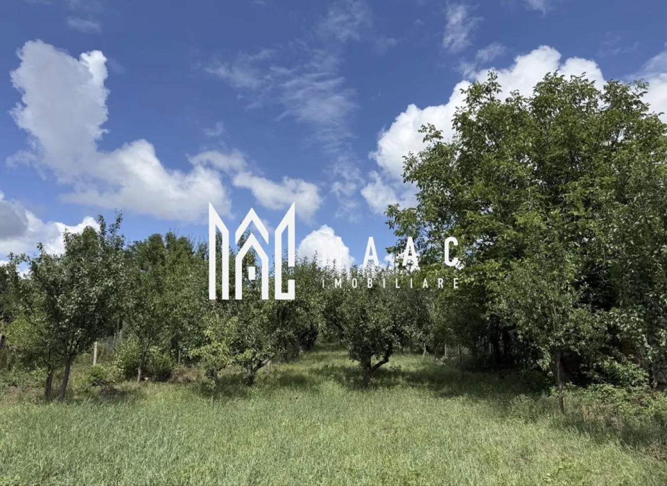 Casă de renovat I teren 1400 mp I Livadă I Central Săcel - Proprietate situată în centrul satului Săcel, amplasată într-o zonă liniștită, cu acces rapid către magazine, școală și biserică. Imobilul este compus din: - Casă veche, ce necesită renovare, potrivită pentru un proiect personalizat. - Livadă de meri, un teren generos de 1.400 mp. - Utilități disponibile pe proprietate: branșamente noi la curent electric, apă și canalizare. Proprietatea oferă potențial atât pentru renovarea construcției existente, cât și pentru edificarea unei case de vacanță sau locuințe permanente. Terenul permite, de asemenea, dezvoltarea unei mici gospodării sau a unei pensiuni rurale. Pentru informații suplimentare sau programarea unei vizionări, contactați MAAC Imobiliare specificând ID CP2878884. }}