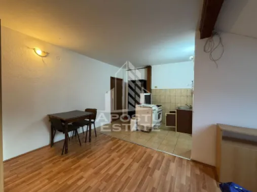 Apartament cu 1 camera, de inchiriat, zona Aradului, Timisoara