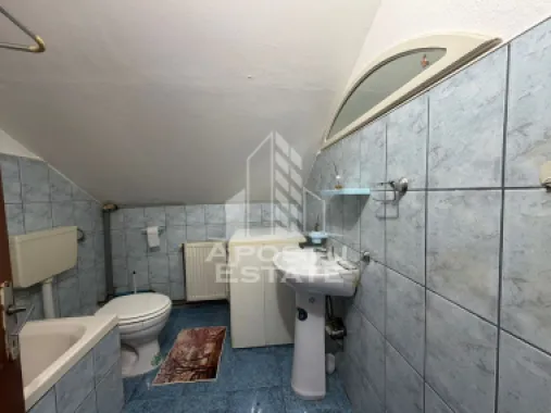 Apartament cu 1 camera, de inchiriat, zona Aradului, Timisoara