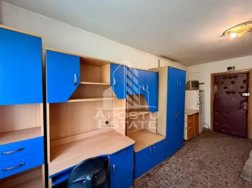Apartament cu 1 camera de inchiriat, zona Aradului, Timisoara