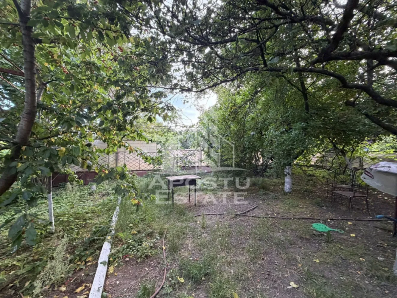 Apartament cu 1 camera, de inchiriat, zona Aradului, Timisoara - Agentia imobiliara APOSTU ESTATE va propune spre inchiriere o garsoniera, spatioasa si luminoasa, situata in zona Aradului, o zona linistita si bine pozitionata din Timisoara, potrivit pentru cupluri sau studenti care isi doresc o locuinta unde sa se simta confortabil si cu acces facil catre scoli, statii de autobuz, supermarketuri, magazine de zona, parcuri.

Suprafata utila: 20 mp
Compartimentare eficienta:
-Hol de acces
-Bucatarie mobilata si utilata
-Dormitor mobilat si utilat
-Baie prevazuta cu cada

Confort si facilitati:
-Incalzirea apartamentului: centrala imobil
-Apartamentul este complet mobilat si utilat de catre proprietar

Localizare:
-Timis,Timisoara, zona Aradului – acces facil spre magazine, supermarketuri, scoli, parcuri si mijloace de transport in comun.

Ideal pentru:
-Cupluri
-Studenti

Disponibilitate: imediata
Pret chirie lunara: 190 euro
Garantie: 190 euro
Programeaza o vizionare pentru a-ti putea imagina viitorul aici!
CP3120703
