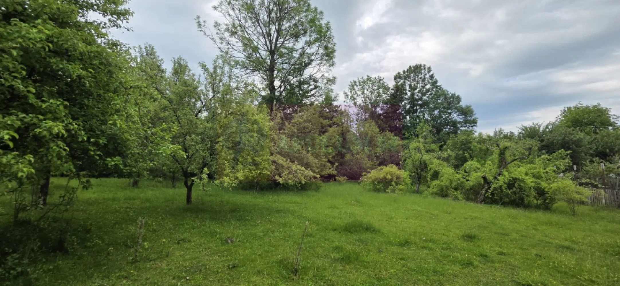 Teren de vanzare in Breaza, Nistoresti - Teren intravilan de vânzare în Breaza, cartier Nistorești

Proprietatea are o suprafață generoasă de 4.288 mp și este situată într-o zonă deosebit de frumoasă, în mijlocul naturii, oferind liniște, intimitate și un peisaj relaxant. Terenul este compus din livadă și include și o zonă de pădure extravilană, ceea ce îi conferă un farmec aparte și un cadru natural autentic.

Orientarea sudică asigură lumină naturală pe tot parcursul zilei și deschide perspective superbe asupra împrejurimilor. În vecinătate sunt construite câteva case, la distanță suficientă pentru a păstra atmosfera retrasă și intimă a proprietății.

Accesul se realizează facil, pe drum asfaltat, iar terenul beneficiază de branșament electric activ și funcțional. Rețeaua de apă și canalizare se află la limita proprietății, ceea ce reprezintă un avantaj important pentru viitoarea construcție.

Datorită poziției și suprafeței generoase, proprietatea este potrivită atât pentru construirea unei case de vacanță sau a unei locuințe permanente, cât și pentru investiție. Există și posibilitatea dezmembrării terenului de viitorul propietar.
Exista certificat urbanism - 2023
POT = 30%
CUT = 0,9
Regim de înălțime = P+2E

Pentru detalii și vizionări:
Agenția Imobiliară Mervani
Telefon: 0729.935.536