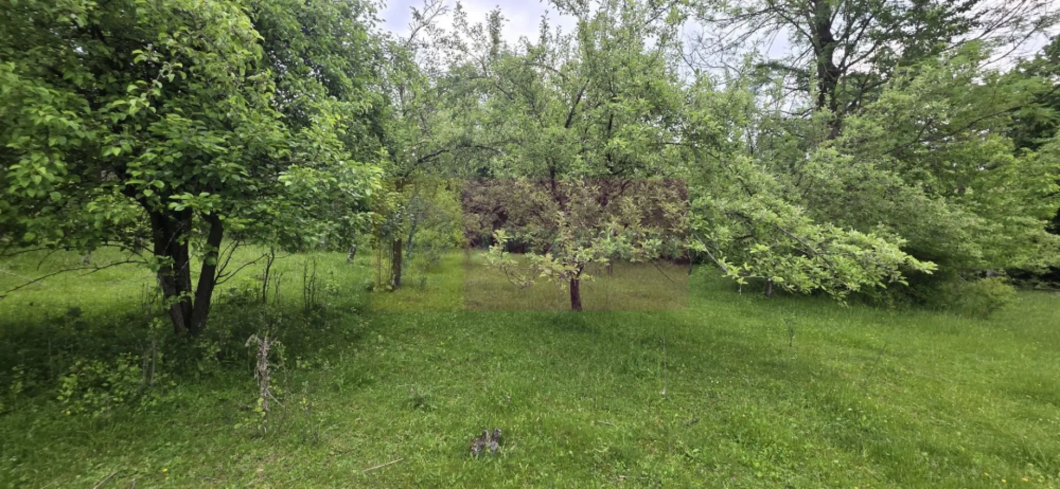 Teren de vanzare in Breaza, Nistoresti - Teren intravilan de vânzare în Breaza, cartier Nistorești

Proprietatea are o suprafață generoasă de 4.288 mp și este situată într-o zonă deosebit de frumoasă, în mijlocul naturii, oferind liniște, intimitate și un peisaj relaxant. Terenul este compus din livadă și include și o zonă de pădure extravilană, ceea ce îi conferă un farmec aparte și un cadru natural autentic.

Orientarea sudică asigură lumină naturală pe tot parcursul zilei și deschide perspective superbe asupra împrejurimilor. În vecinătate sunt construite câteva case, la distanță suficientă pentru a păstra atmosfera retrasă și intimă a proprietății.

Accesul se realizează facil, pe drum asfaltat, iar terenul beneficiază de branșament electric activ și funcțional. Rețeaua de apă și canalizare se află la limita proprietății, ceea ce reprezintă un avantaj important pentru viitoarea construcție.

Datorită poziției și suprafeței generoase, proprietatea este potrivită atât pentru construirea unei case de vacanță sau a unei locuințe permanente, cât și pentru investiție. Există și posibilitatea dezmembrării terenului de viitorul propietar.
Exista certificat urbanism - 2023
POT = 30%
CUT = 0,9
Regim de înălțime = P+2E

Pentru detalii și vizionări:
Agenția Imobiliară Mervani
Telefon: 0729.935.536