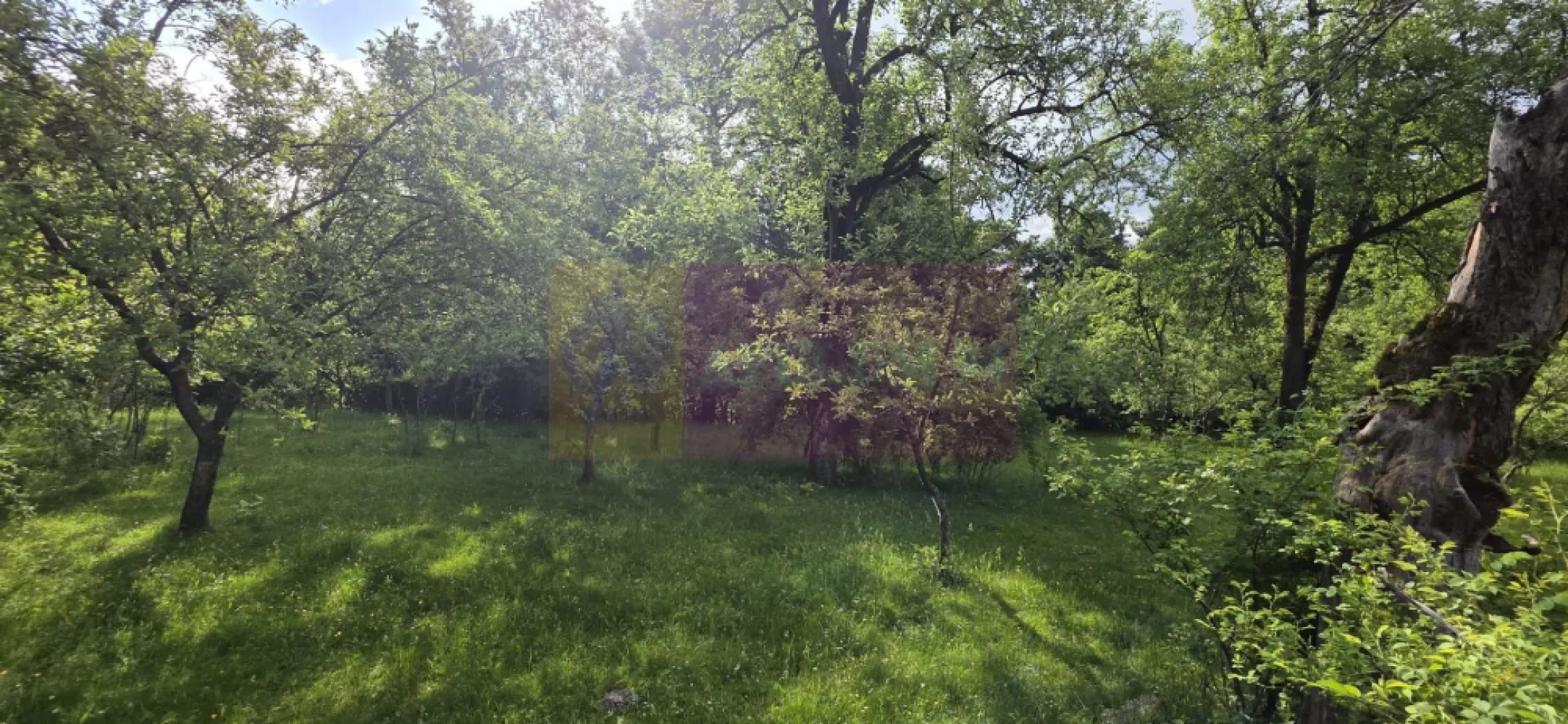 Teren de vanzare in Breaza, Nistoresti - Teren intravilan de vânzare în Breaza, cartier Nistorești

Proprietatea are o suprafață generoasă de 4.288 mp și este situată într-o zonă deosebit de frumoasă, în mijlocul naturii, oferind liniște, intimitate și un peisaj relaxant. Terenul este compus din livadă și include și o zonă de pădure extravilană, ceea ce îi conferă un farmec aparte și un cadru natural autentic.

Orientarea sudică asigură lumină naturală pe tot parcursul zilei și deschide perspective superbe asupra împrejurimilor. În vecinătate sunt construite câteva case, la distanță suficientă pentru a păstra atmosfera retrasă și intimă a proprietății.

Accesul se realizează facil, pe drum asfaltat, iar terenul beneficiază de branșament electric activ și funcțional. Rețeaua de apă și canalizare se află la limita proprietății, ceea ce reprezintă un avantaj important pentru viitoarea construcție.

Datorită poziției și suprafeței generoase, proprietatea este potrivită atât pentru construirea unei case de vacanță sau a unei locuințe permanente, cât și pentru investiție. Există și posibilitatea dezmembrării terenului de viitorul propietar.
Exista certificat urbanism - 2023
POT = 30%
CUT = 0,9
Regim de înălțime = P+2E

Pentru detalii și vizionări:
Agenția Imobiliară Mervani
Telefon: 0729.935.536
