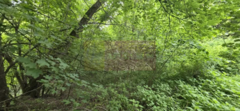 Teren de vanzare in Breaza, Nistoresti