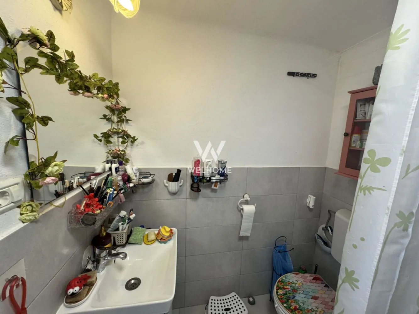 Casa individuala in Arpasu de Sus, teren mare, partial renovata