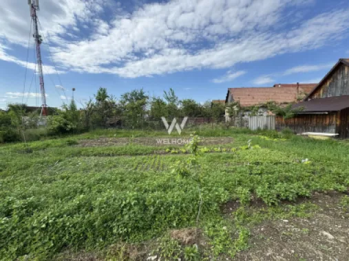 Casa individuala in Arpasu de Sus, teren mare, partial renovata