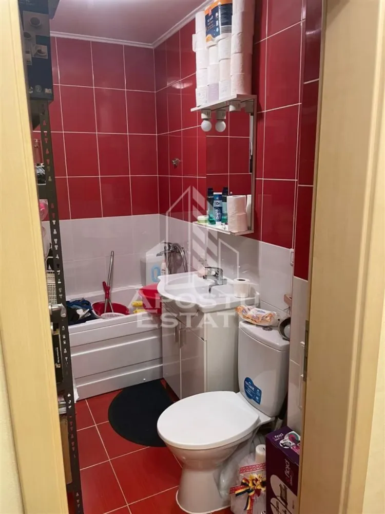Penthouse cu 4 camere pe 2 nivele In Giroc langa scoala.