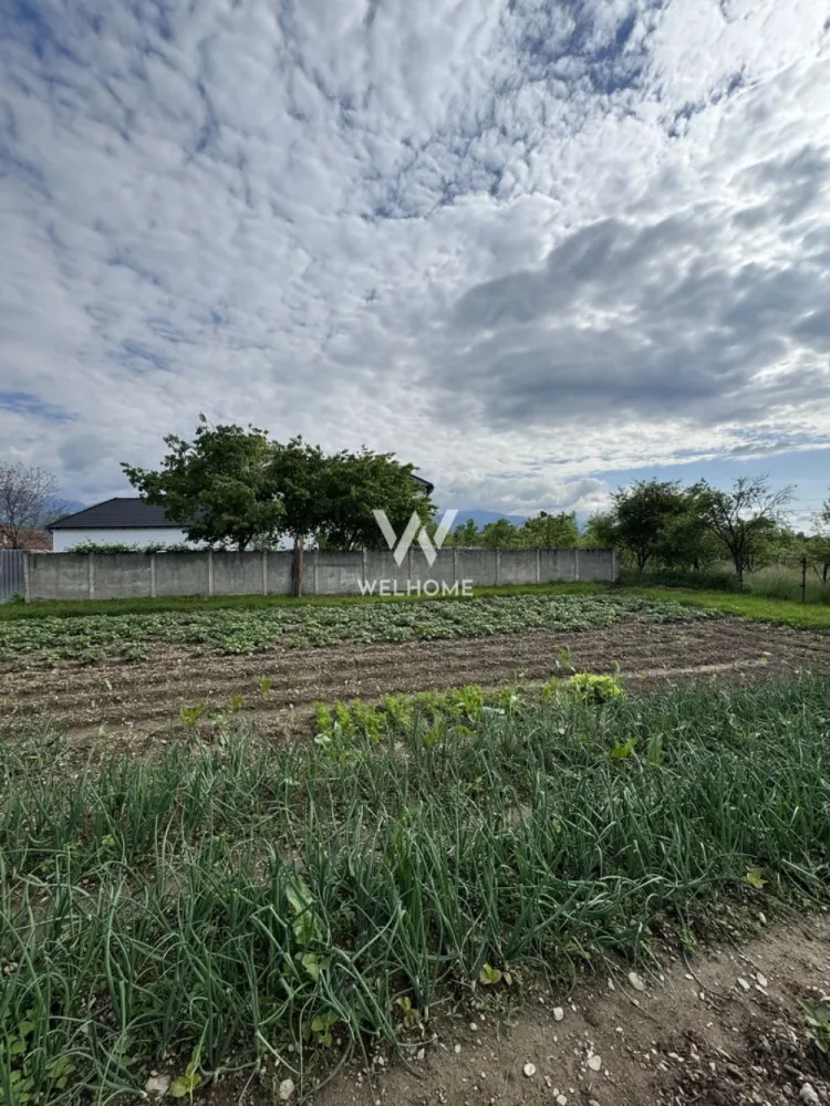 Casa individuala in Arpasu de Sus, teren mare, partial renovata