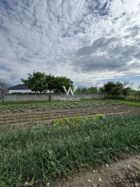 Casa individuala in Arpasu de Sus, teren mare, partial renovata