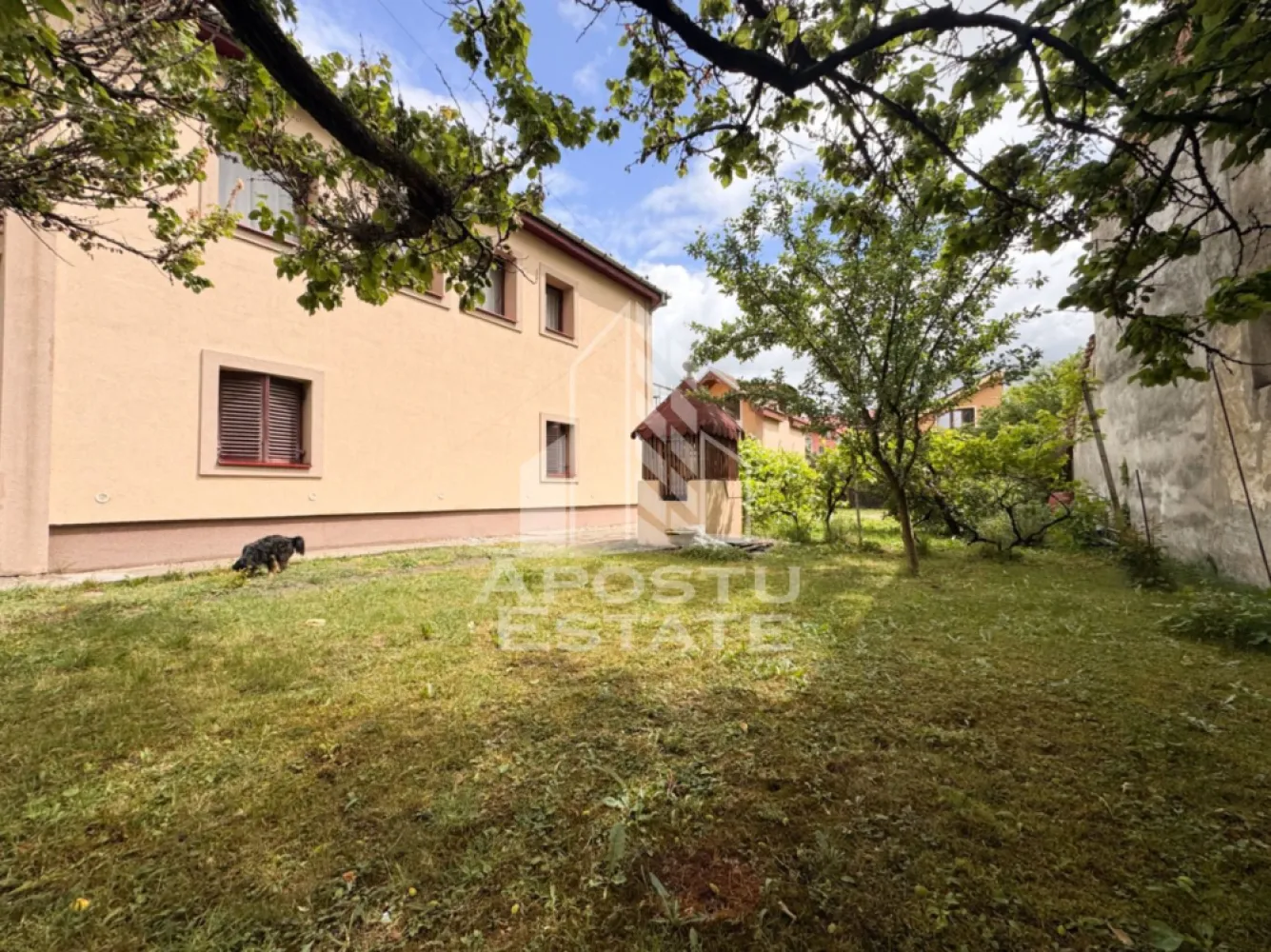 Comision 0%! Casa cu 8 camere, teren 648mp, zona Fratelia, Timisoara - Agentie imobiliara, APOSTU ESTATE va propune spre vanzare, in Reprezentare Exclusiva si comision 0% pentru cumparator, o casa individuala aflata in cartierul Fratelia, pe strada Berzei, din Timisoara.

Terenul total este de 648mp, cu un front stradal de 18ml.

Casa este dispusa pe 2 niveluri, P+E si are o suprafata utila de aproximativ 200mp, compartimentata astfel:
Parter:
- 3 camere (din care 1 sufragerie open-space cu bucatarie)
- 1 baie cu geam
- 1 hol de acces

Extindere parter:
- 1 camera
- 1 baie cu geam
- 1 bucatarie
- 1 camara
- 1 spatiu de depozitare

Etaj:
- 3 camere
- 2 bai cu geam
- 1 bucatarie
- 1 camara
- 1 balcon
- 1 terasa

In curte este si o anexa de aproximativ 50mp, compartimentata astfel:
- 1 garaj
- 1 birou la mansarda anexei
- 1 spatiu de depozitare, facut din lemn, de aproximativ 10mp

Confortul termic este asigurat prin interemediul celor 2 centrale termice proprii si este sustinut de izolatia exterioara.

Proprietatea are acces la etaj, prin scara interioara, cat si prin exterior, astfel proprietatea poate fi folosita pentru 2 familii.

Avand in vedere suprafata mare utila, destinatia proprietatii poate fi schimbata pentru locatie afterschool sau gradinita, spatiu de birouri etc.

Oferim consultanta gratuita cu privire la accesarea creditelor bancare pentru achizitii imobiliare.

Nu ezitati sa ne contactati pentru stabilirea unei vizionari au alte detalii suplimentare.

ID intern: CP3120868
