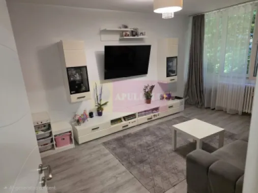 Apartament 2 camere Arcul de Triumf