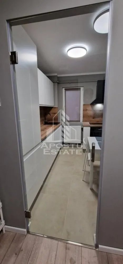 Apartament cu 2 camere de inchiriat,petfriendly,Take Ionescu,Timisoara