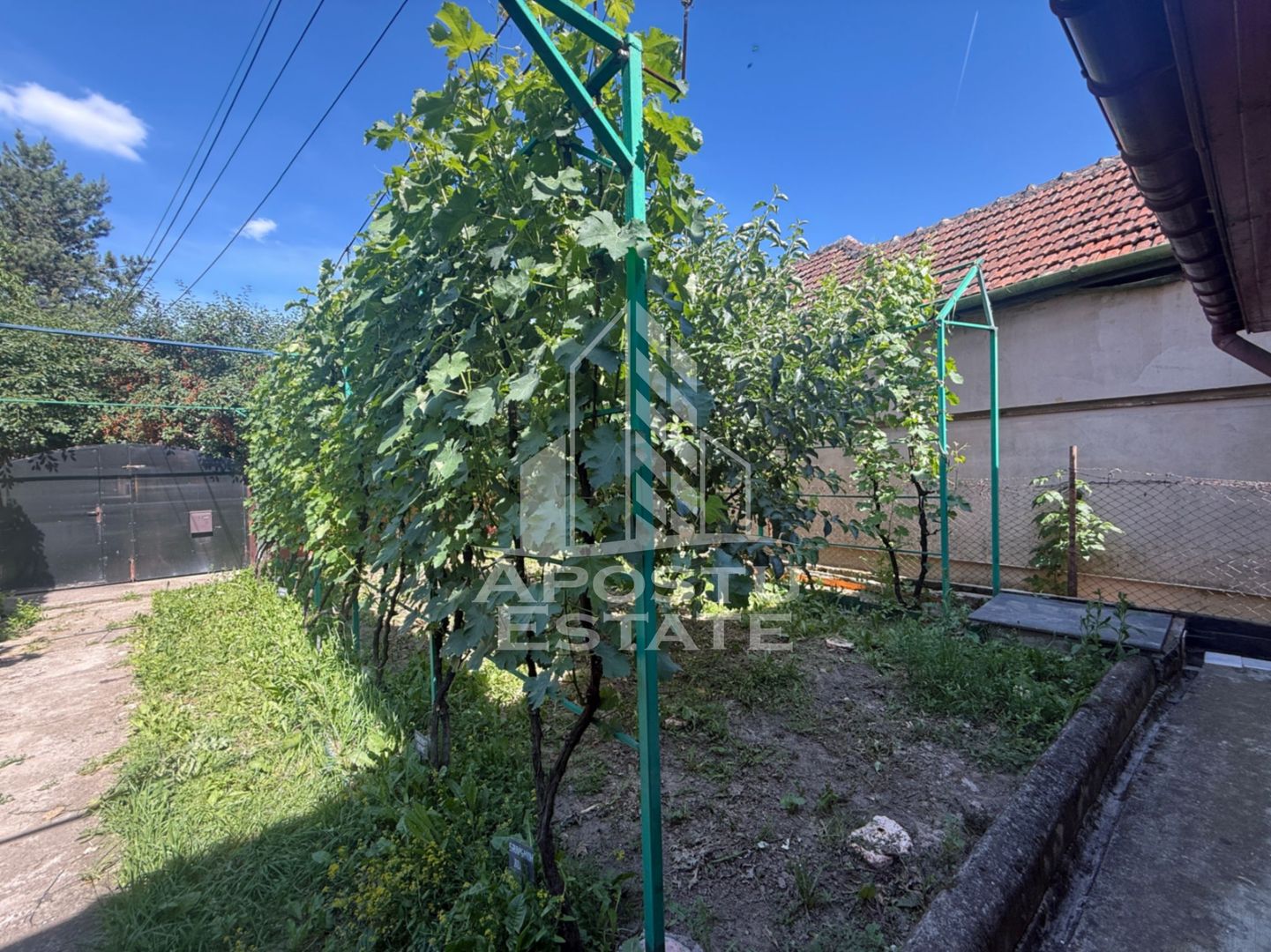 Casa individuala cu teren de vanzare, zona Plopi Timisoara