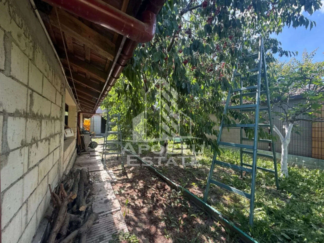 Casa individuala cu teren de vanzare, zona Plopi Timisoara