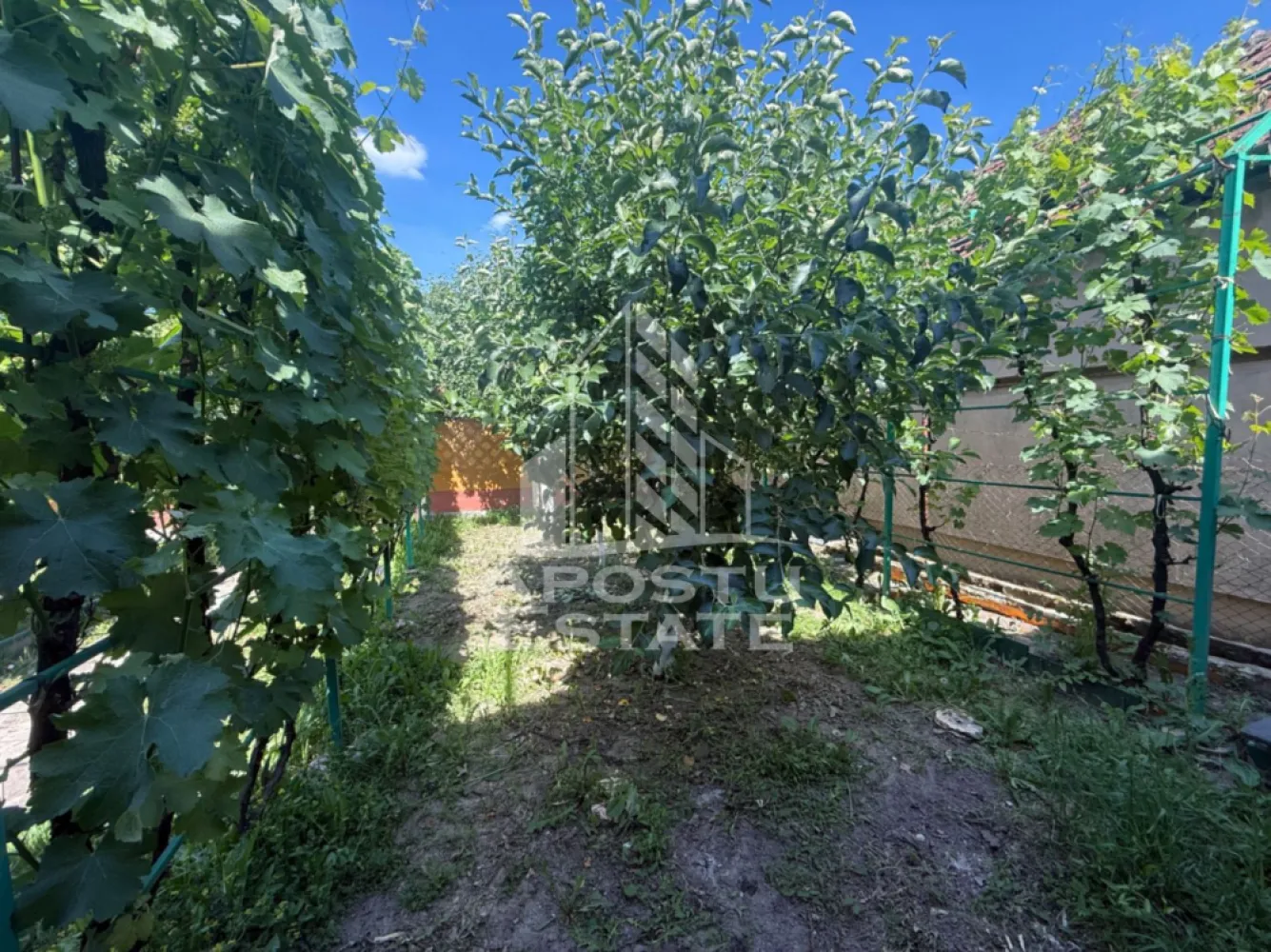 Casa individuala cu teren de vanzare, zona Plopi Timisoara