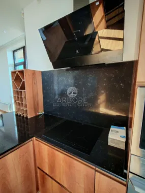 Penthouse 5 camere 250 mp lângă Ambasada SUA , zona Băneasa București