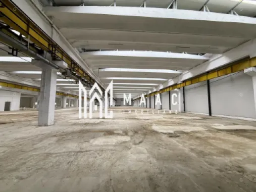 Hala producție I 6857 mp I Acces TIR I Pod Rulant I Mârșa