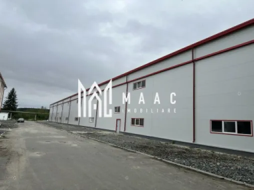 Hala producție I 6857 mp I Acces TIR I Pod Rulant I Mârșa