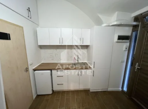 Apartament cu o camera, la parter, in Piata Uniri, in Timisoara